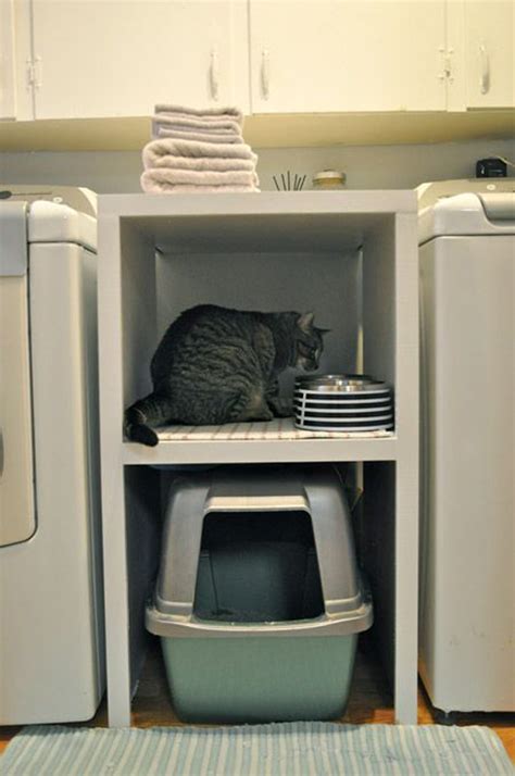 cat litter for small apartment.